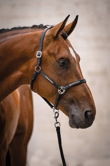 CAPEZZA IN CUOIO CON IMBOTTITURA SPARKLE Capezze Cuoio 